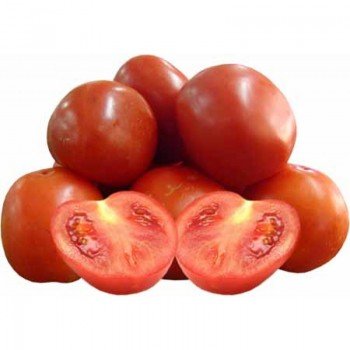 TOMATE KG