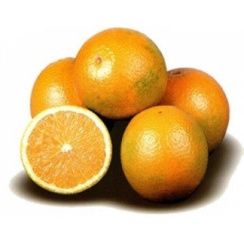 LARANJA SERRA D'AGUA KG